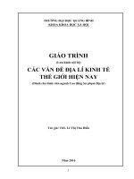 GIÁO TRÌNH các vấn đề địa lí KINH tế THẾ GIỚI HIỆN NAY (dành cho sinh viên ngành cao đẳng sư phạm địa lý) 