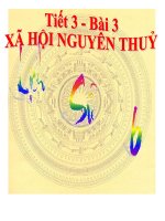 bài 3 xã hội nguyên thuỷ   lịch sử 6 (2) 