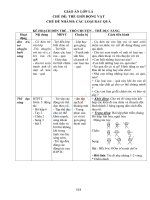 Giáo án lớp lá tuần 23 chủ đề các loại rau quả 
