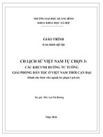 CĐ LỊCH sử VIỆT NAM tự CHỌN 3 các KHUYNH HƯỚNG tư TƯỞNG GIẢI PHÓNG dân tộc ở VIỆT NAM THỜI cận đại 