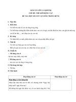 Giáo án lớp lá tuần 19 chủ đề động vật sống trong rừng 