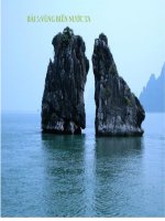 Bài giảng địa lý: Vùng biển Việt Nam