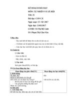 giáo án tự nhiên xã hội bài 25 