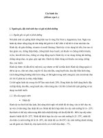 QUY TRINH SAN XUAT CAY HANH TAY (allium cepa l ) THEO GAP