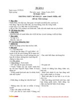 Giáo án Mĩ thuật lớp 3 trọn bộ 