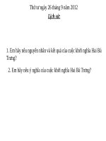 Chiến thắng Bạch Đằng do Ngô Quyền lãnh đạo( năm 938)