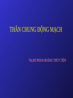 BÀI GIẢNG THÂN CHUNG ĐỘNG MẠCH