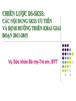 CHIẾN LƯỢC DS-SKSS CÁC NỘI DUNG SKSS ƯU TIÊN VÀ ĐỊNH HƯỚNG TRIỂN KHAI GIAI ĐOẠN 2011-2015