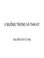 BÀI GIẢNG U BUỒNG TRỨNG VÀ THAI KỲ