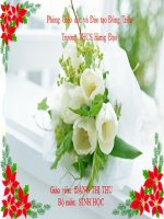 Địa y và bài tập: Sưu tầm nấm có ích, nấm bệnh tại địa phương