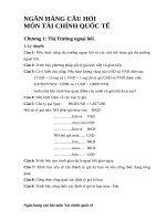 Ngân hàng câu hỏi môn tài chính quốc tế