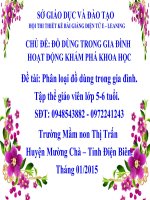 Chủ Đề: Đồ Dùng Trong Gia Đình Hoạt Động Khám Phá Khoa Học