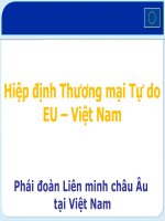 Hiệp định Thương mại Tự doEU – Việt Nam