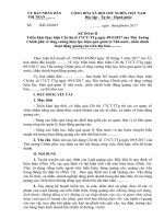 Kế hoạch triển khai thực hiện Chỉ thị số 17CTTTg ngày 0952017 của Thủ Tướng Chính phủ về tăng cường hiệu lực, hiệu quả quản lý Nhà nước, chấn chỉnh hoạt động quảng cáo trên địa bàn