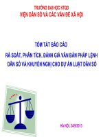 Báo Cáo  Rà Soát, Phân Tích, Đánh Giá Văn Bản Pháp Lệnh Dân Số Và Khuyến Nghị Cho Dự Án Luật Dân Số