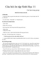 Câu hỏi ôn tập sinh học 11