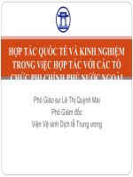 HỢP TÁC QUỐC TẾ VÀ KINH NGHIỆM TRONG ViỆC HỢP TÁC VỚI CÁC TỔ CHỨC PHI CHÍNH PHỦ NƯỚC NGOÀI