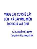 BÀI GIẢNG VIRURS DẠI - ĐÁP ỨNG MIỄN DỊCH