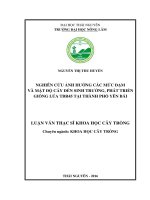 Nghiên cứu ảnh hưởng các mức đạm và mật độ cấy đến sinh trưởng, phát triển giống lúa TBR45 tại thành phố yên bái 