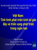 Việt Nam Tình hình phát triển kinh kế gần đây và triển vọng phát triển trong ngắn hạn