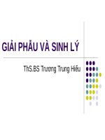 BÀI GIẢNG GIẢI PHẪU VÀ SINH LÝ