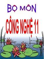 BÀI GIẢNG HÌNH CHIẾU PHỐI CẢNH Chương trình công nghệ, lớp 11