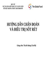 BÀI GIẢNG HƯỚNG DẪN CHẨN ĐOÁN VÀ ĐIỀU TRỊ SỐT RÉT