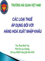 Các Loại Thuế Áp Dụng Đối Với Hàng Hoá Xuất Nhập Khẩu