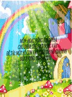 Bài giảng lớp Lá chủ đề Thế giới động vật