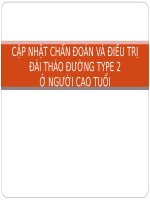 Cập Nhật Chẩn Đoán Và Điều Trị  Đái Tháo Đường Type 2 Ở Người Cao Tuổi