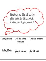 BÀI GIẢNG SINH TRƯỞNG VÀ PHÁT TRIỂN Ở ĐỘNG VẬT