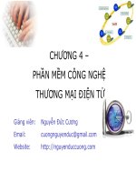 BÀI GIẢNG PHẦN MỀM CÔNG NGHỆ THƯƠNG MẠI ĐIỆN TỬ