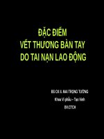 ĐẶC ĐIỂM VẾT THƯƠNG BÀN TAY DO TAI NẠN LAO ĐỘNG