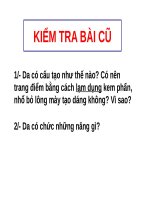 BÀI GIẢNG VỆ SINH DA