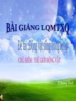 Bài giảng lớp Lá chủ đề Thế giới động vật