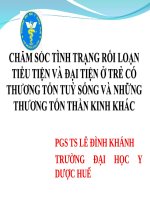 Chăm Sóc Tình Trạng Rối Loạn Tiểu Tiện Và Đại Tiện Ở Trẻ Có Thương Tổn Tuỷ Sống Và Những Thương Tổn Thần Kinh Khác