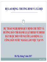 Dự Thảo Nghị Định Quy Định Chi Tiết Và Hướng Dẫn Thi Hành Luật BHXH Về BHXH Bắt Buộc Đối Với Người Lao Động Là Công Dân Nước Ngoài Làm Việc Tại VN