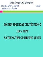 Đổi Mới Sinh Hoạt Chuyên Môn Ở THCS, THPT Và Trung Tâm Gd Thường Xuyên