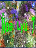 BÀI THỰC HÀNH PHÂN TÍCH LƯỢC ĐỒ DÂN SỐ VÀ THÁP TUỔI