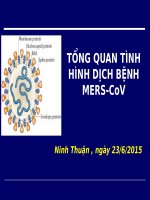 TỔNG QUAN TÌNH HÌNH DỊCH BỆNH MERS-CoV