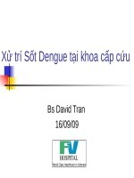 Xử trí Sốt Dengue tại khoa cấp cứu