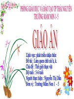 Lĩnh vực: phát triển nhận thức Đề tài : Làm quen chữ cái h, k. Chủ đề : Thế giới thực vật