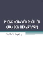 BÀI GIẢNG PHÒNG NGỪA VIÊM PHỔI LIÊN QUAN ĐẾN THỞ MÁY (VAP)