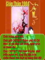 Một số nội dung định hướng chiến lược phát triển CNTT&TT năm 2004 và những năm tiếp theo