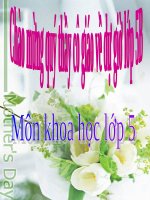 BÀI GIẢNG Phòng bệnh sốt rét