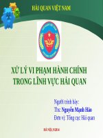 XỬ LÝ VI PHẠM HÀNH CHÍNH TRONG LĨNH VỰC HẢI QUAN