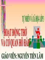 BÀI GIẢNG Hoạt động thở và cơ quan hô hấp