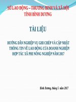 Hướng Dẫn Nghiệp Vụ Ghi Chép Và Cập Nhật Thông Tin Về Lao Động Của Doanh Nghiệp Hợp Tác Xã Phi Nông Nghiệp Năm 2017