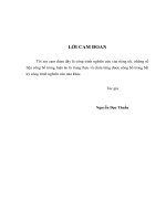 Nghiên cứu phẫu thuật nội soi ổ bụng cắm lại niệu quản vào bàng quang