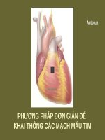 PHƯƠNG PHÁP ĐƠN GIẢN ĐỂ KHAI THÔNG CÁC MẠCH MÁU TIM